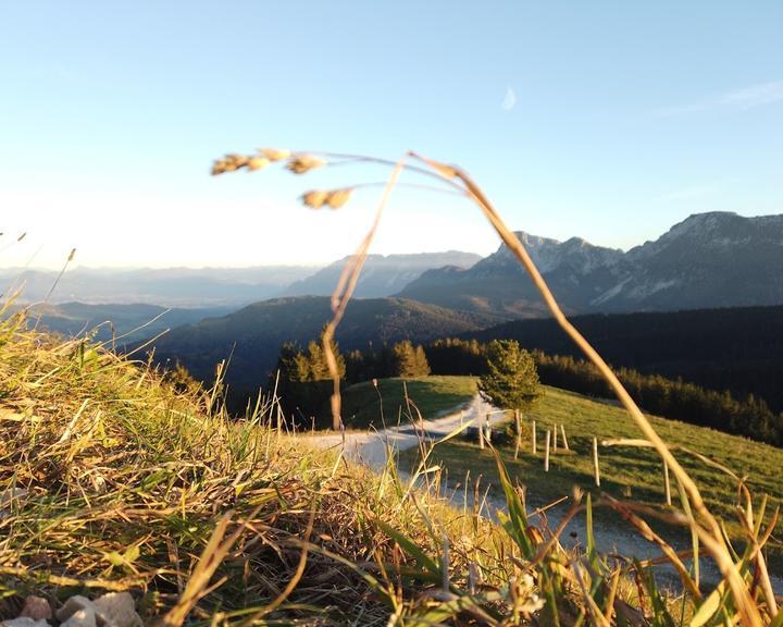 Stoisser Alm